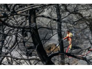 İzmir'de yanan ormanlık alanlar havadan görüntülendi