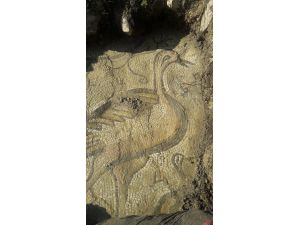 Adıyaman'da ördek figürlü mozaik bulundu