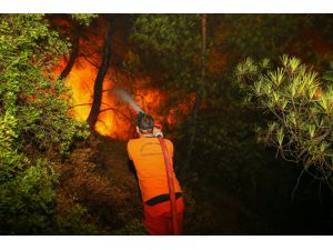 İzmir'deki orman yangını