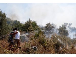 GÜNCELLEME - Muğla'da orman yangını