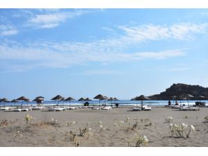 Akdeniz ve Ege sahillerinin "gelini" plajları süslüyor