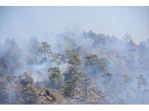 GÜNCELLEME 2 - Muğla'da orman yangını