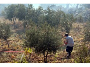 GÜNCELLEME - Amanoslar'daki bahçe yangını
