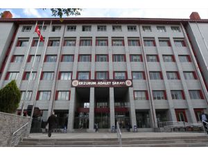 GÜNCELLEME 2 - HDP'li Karayazı Belediye Başkanı Melike Göksu'ya tutuklama