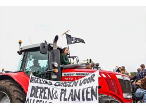 Hollanda'da çiftçilerden hükümetin tarım politikasına protesto