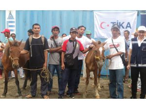TİKA’dan Filipinler'de yerel halka binek hayvanı desteği