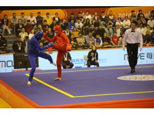 15. Dünya Wushu Şampiyonası