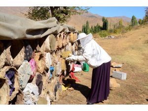 Hizanlı kadın arıcı 40 kovanı 4 yılda 750 kovana çıkardı