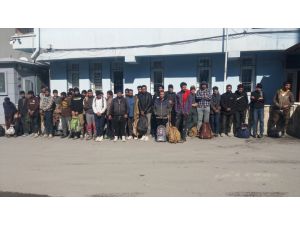 Niğde'de 2 minibüste 75 düzensiz göçmen yakalandı