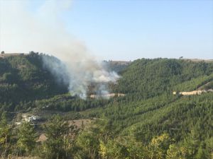 Osmaniye'de çıkan orman yangınında 3 hektar alan zarar gördü