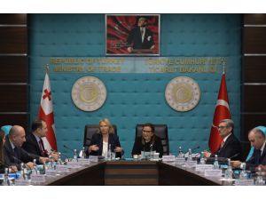 Türkiye-Gürcistan KEK kapanış toplantısı