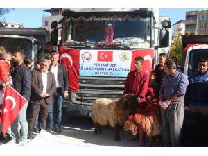 Siirt'ten Barış Pınarı Harekatı'na destek