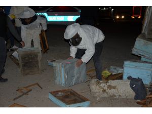 Şanlıurfa'da arı kovanı yüklü kamyonetle tır çarpıştı: 1 yaralı