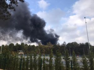 GÜNCELLEME - Çekmeköy'deki orman yangını kontrol altına alındı