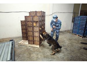 Azerbaycan sınırında yaklaşık bir ton uyuşturucu ele geçirildi