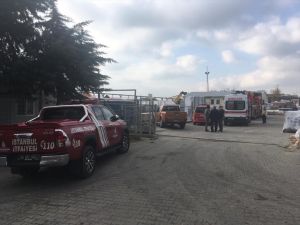 Çatalca'daki fabrika yangını söndürüldü