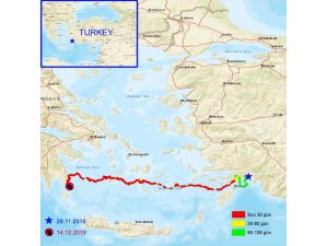 "Caretta Tuba" Yunanistan'a geçti