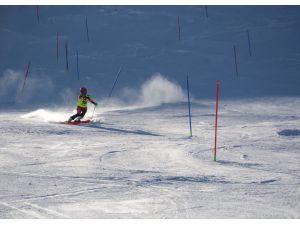 Alp Disiplini Uluslararası Murat Dedeman FIS Kupası