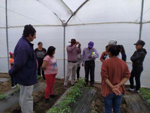 TİKA'dan Ekvador'daki tarımsal kalkınmaya sera desteği