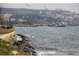 Marmara Denizi'nde lodos ulaşıma engel oluyor