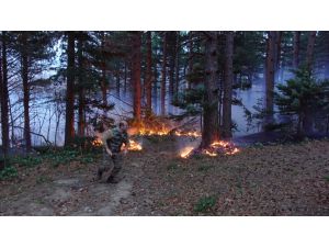 GÜNCELLEME 2 - Uludağ'da çıkan orman yangını kontrol altına alındı