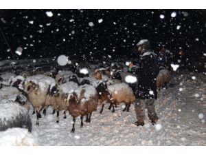 Hakkari'de besiciler kar ve tipiye yakalandı