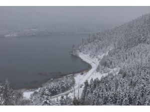 Abant ve Gölcük'te kar güzelliği