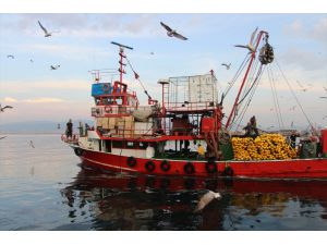 Bandırma Onyedi Eylül Üniversitesi Denizcilik Fakültesi Dekanı Prof. Dr. Sarı'dan "açık deniz balıkçılığı" çağrısı
