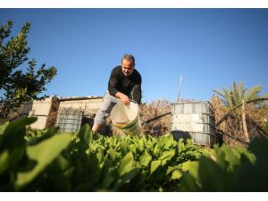 Gazze'de doğal atıklardan organik gübre üretiyor
