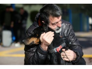 Bakan Pakdemirli'nin sahip çıktığı köpek "Bobo" tedavisi için İstanbul'a gönderildi