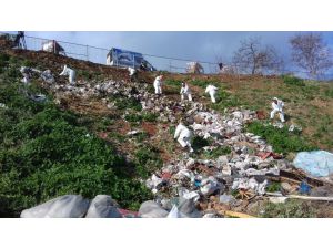 İSTAÇ, Büyükada'da 25 ton çöp ve atık topladı
