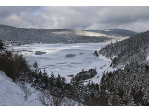 Abant Tabiat Parkı'ndaki gölün yüzeyi buz tuttu