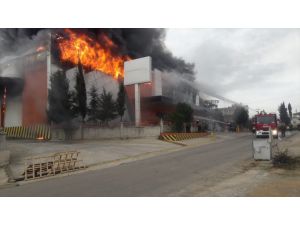 Antalya'da narenciye işleme tesisinde yangın