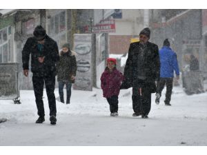 Kars, Ağrı ile Tunceli'de kar ve tipi etkili oluyor