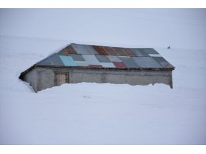 Muş'un yüksek rakımlı köylerindeki tek katkı evler kar altında kaldı
