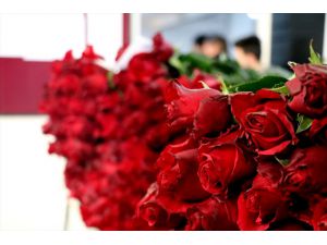 Yalova'daki çiçek mezatlarında "Sevgililer Günü" öncesi rağbet kırmızı güle