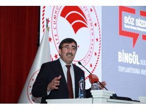 AK Parti Genel Başkan Yardımcısı Yılmaz, Bingöl Sektör Toplantısı'nda konuştu: