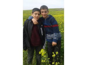 GÜNCELLEME - Şanlıurfa'da kaybolan iki kardeş bulundu