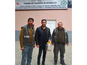 Burdur'da saman balyalarının arasından "Koca Engerek" yılanı çıktı