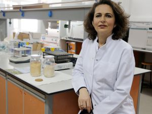 Bursa Uludağ Üniversitesindeki gıda uzmanları "iğde unu" üretti