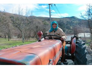 Karabük'te çiftçilik yapan 74 yaşındaki Ayşe Ünal azmiyle örnek oluyor