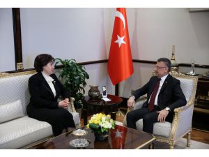 Danıştay Başkanı Güngör'den Cumhurbaşkanı Yardımcısı Oktay'a veda ziyareti