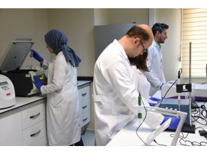 Türk bilim insanlarından kansızlık ilacında dışa bağımlılığın azaltmasında önemli proje