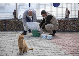 Mersin'de hayvan barınaklarına  mama ile su bırakıldı