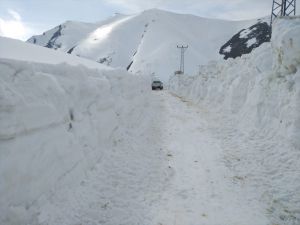 Hakkari, Muş ve Bitlis'te karla mücadele