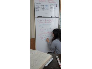 Ebru öğretmen buzdolabını yazı tahtası yaparak öğrencilerine ders anlattı