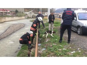 Trabzon'da dere kenarında mahsur kalan köpek itfaiye ekiplerince kurtarıldı