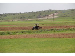 Midyat'ta çiftçiler üretime devam ediyor