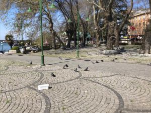 Sakarya, Zonguldak ve Kocaeli'de sokağa çıkma kısıtlamasının ikinci gününde cadde ve sokaklar boş kaldı
