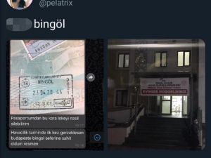Macaristan'dan Bingöl'e getirilerek karantinaya alınan kişi hakkında kentle ilgili paylaşımı nedeniyle soruşturma